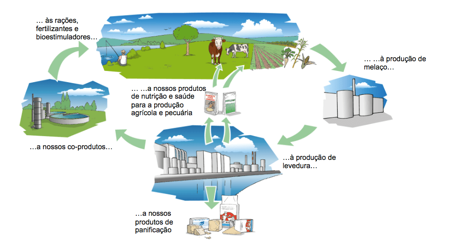 investimento fabrica valladolid