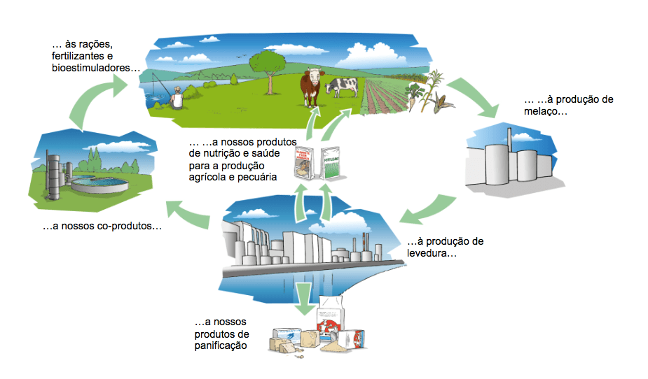 Investimento fabrica valladolid