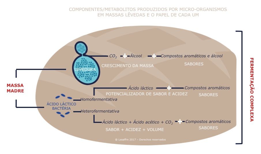 c imagem dos componentes do massas madre