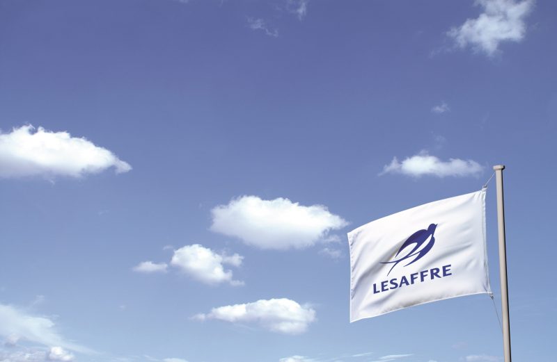 Bandeira Lesaffre