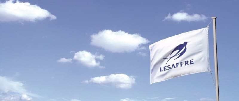 Bandera Lesaffre