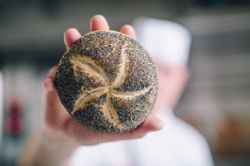 panificação - sourdough