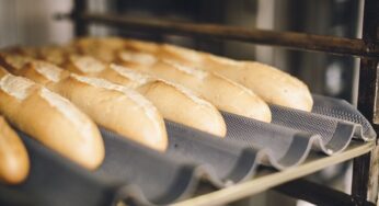 Pão Pré-cozido