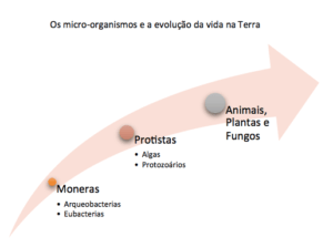 leveduras novos usos micro-organismos 