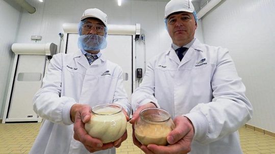 fabrica massas madre