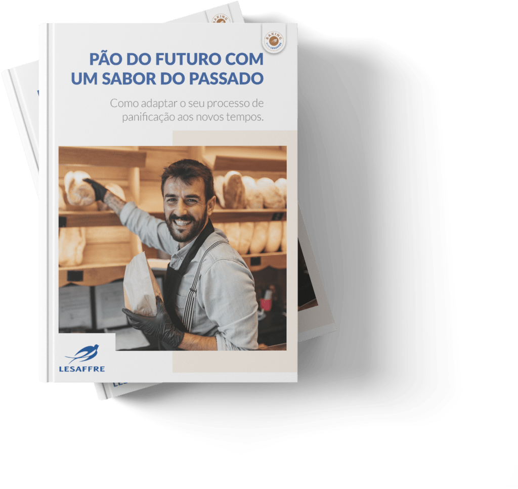 Ebook Lesaffre