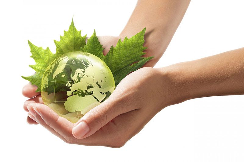 Mundo verde